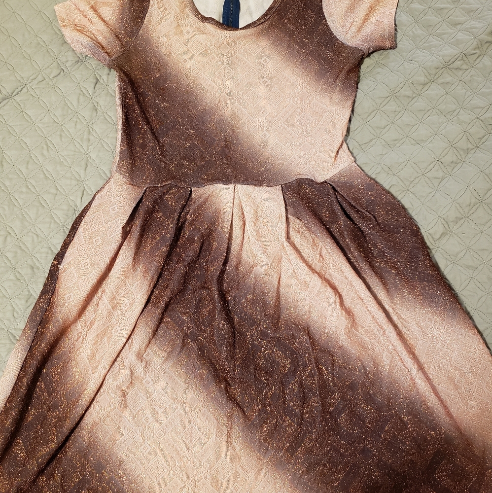 Lularoe elegant pink metallic Amelia dress